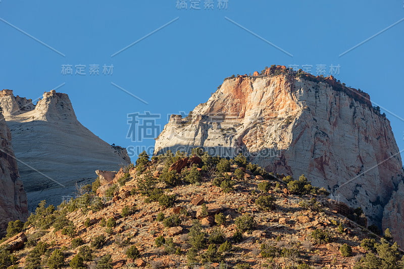 风景优美的锡安国家公园景观