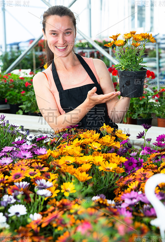 女子温室商店工人拿着花园的花