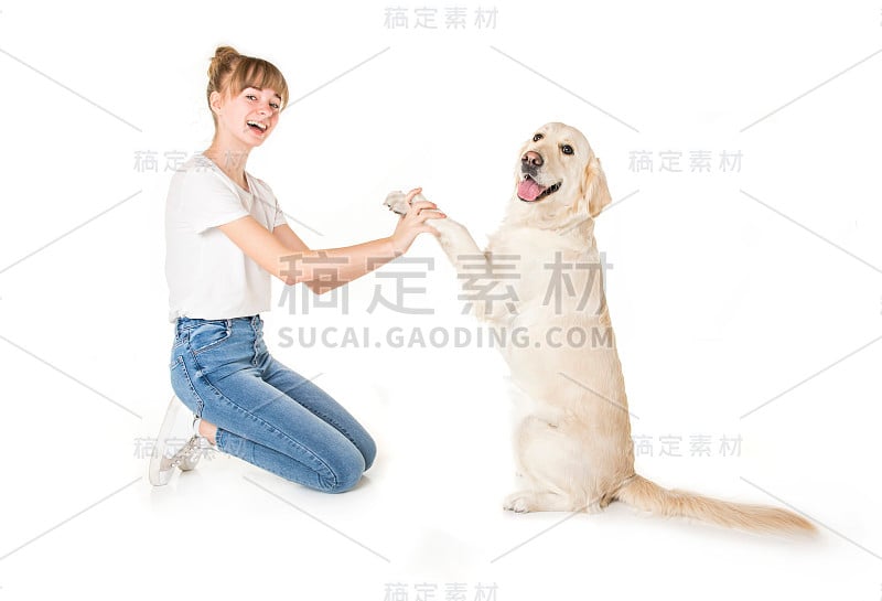 漂亮的少女和她美丽的金毛猎犬在白色的背景