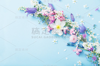 春花在纸上背景