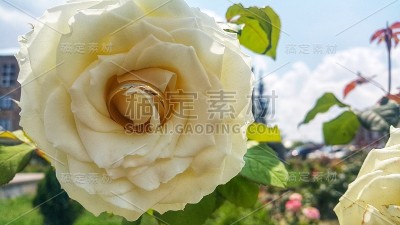金婚