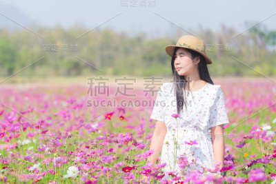全景式的年轻女士在白色的连衣裙走在粉红色的花田草地在农村与平面设计的复制空间