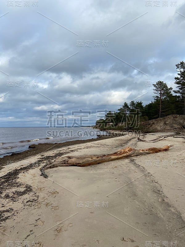 波罗的海秋季海岸，拉脱维亚高加河卡尼卡瓦海滩