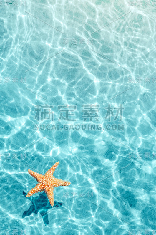 夏天海滩上的海星在海水里。夏天的背景。