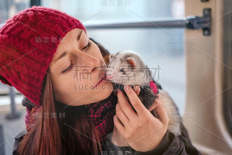 一只无所畏惧的宠物雪貂和它的主人在城市的有轨电车上