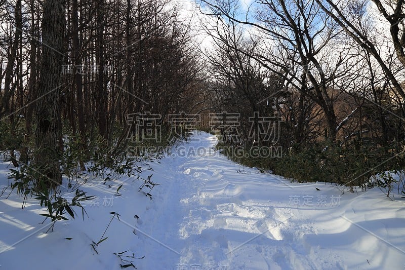 日本福岛县，一条通往Adatara山的雪道(2017年12月29日)