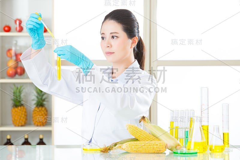 转基因食品转基因植物生物学研究