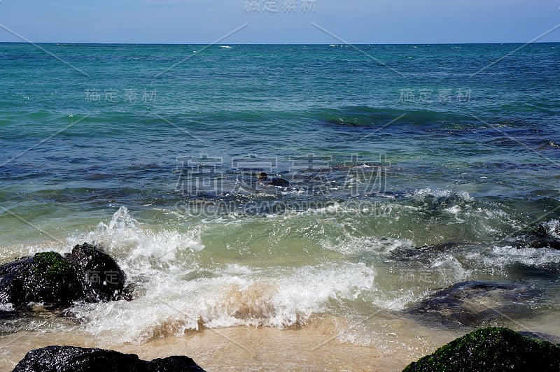 夏威夷的沙滩上有海龟在游泳