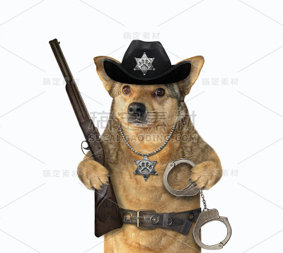 带着步枪和手铐的警犬