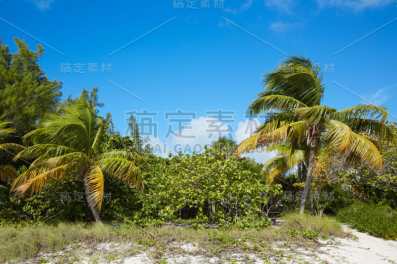 佛罗里达基韦斯特海滩扎卡里泰勒堡公园