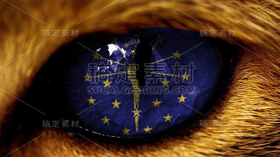 印地安那州美国国会旗帜上的老虎狮子眼睛与掩蔽