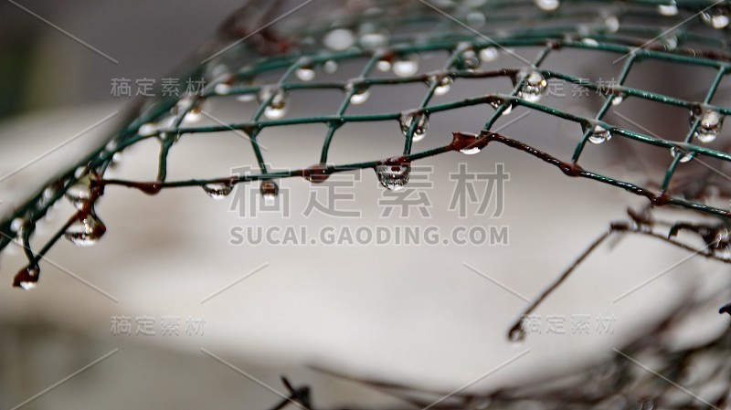 雨后铁丝上的水滴