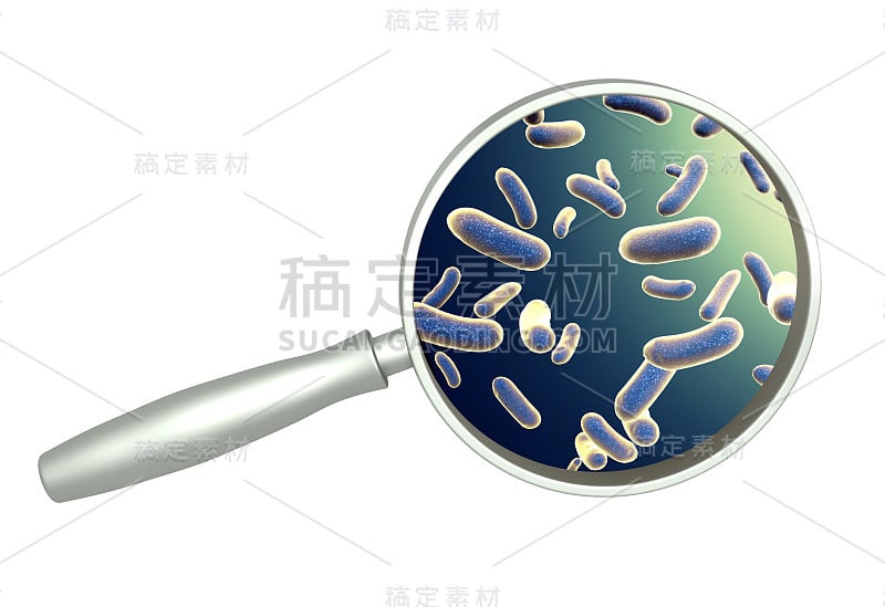放大镜和病原菌