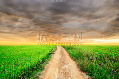 稻田和云景