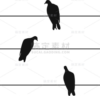 鸟
