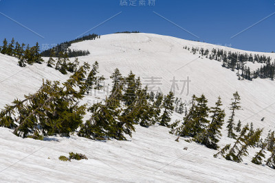 春天的爱祖玛阁山