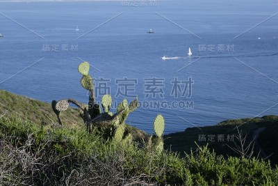 沿圣地亚哥海岸线的海景