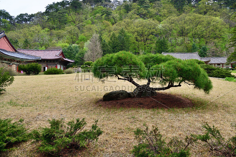 北朝鲜的佛教寺院