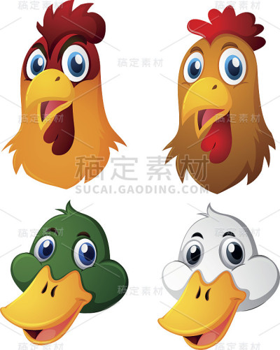 鸡头和鸭头