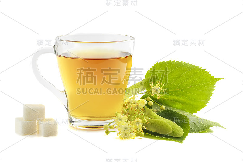 茶与椴树在一个白色的背景孤立的玻璃马克杯