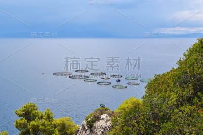 渔场。