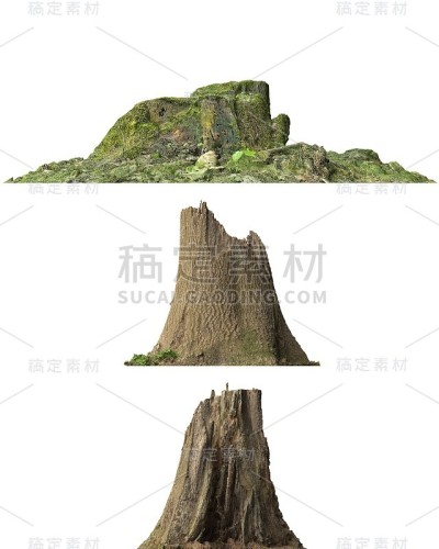 树桩死树孤立的白色3d插图