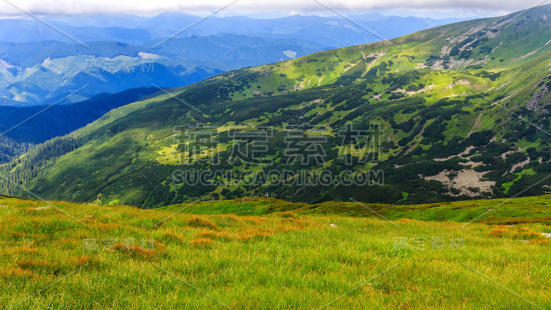 风景如画的喀尔巴阡山脉，夏季的自然景观，乌克兰。