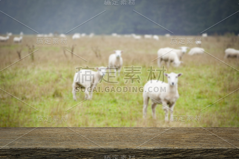 新西兰南岛田野上的空棕色木桌和抽象模糊的绵羊背景，用于产品展示蒙太奇，可用于蒙太奇或展示您的产品