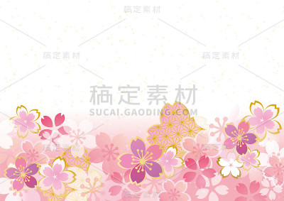 这是日本一种美丽的樱花