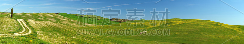 美丽的托斯卡纳风景附近的圣基里科d'Orcia，绿色的起伏的山丘和托斯卡纳柏树。位于锡耶纳乡村。意大