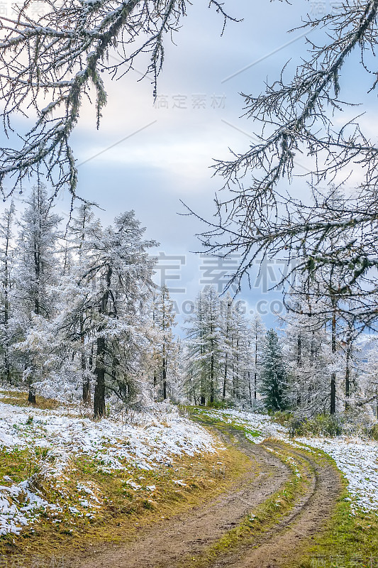 山口的雪