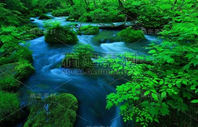 青森鲜绿的江濑山溪