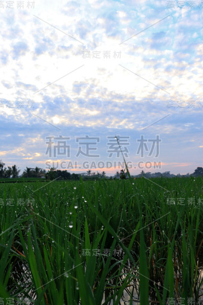 印尼