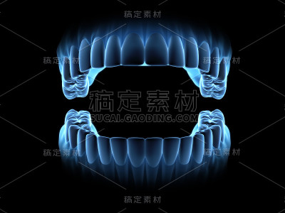 张着嘴巴照x光的牙齿。(前视图)