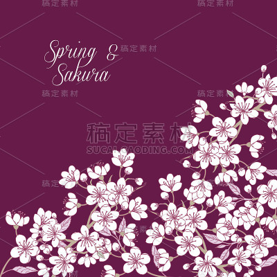 背景,樱花