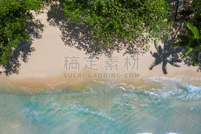 有棕榈树的热带海滩。