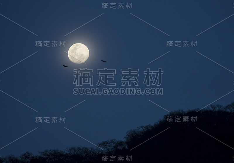 飞高。