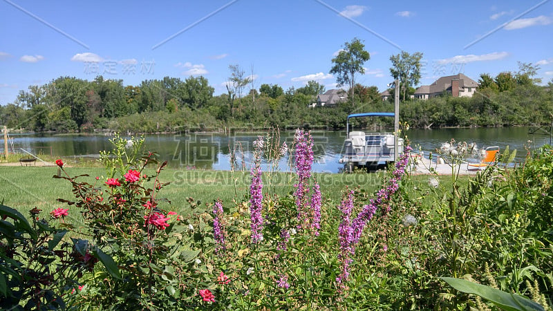 在湖上划船穿过花园