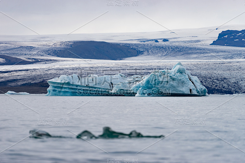 冰岛Jokulsarlon冰川泻湖中的漂浮冰山