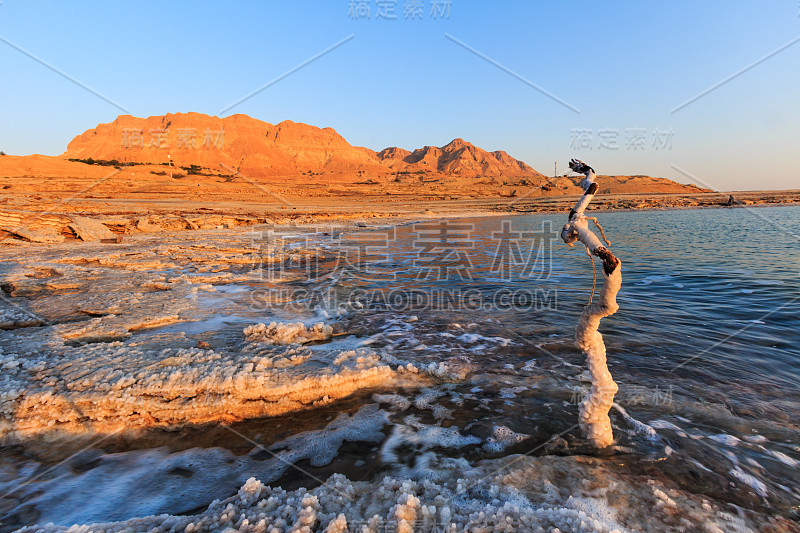 死海海滨