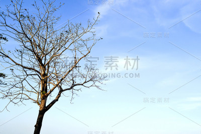 蓝色的性质