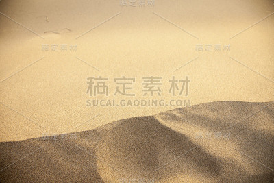 金沙