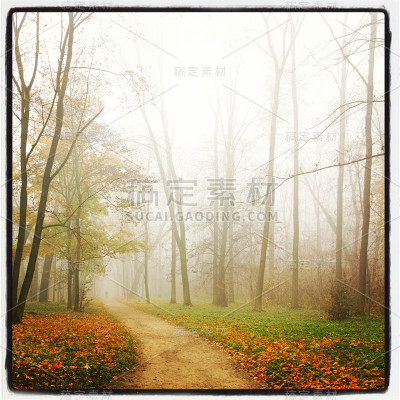秋天的风景。