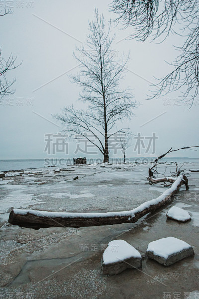 冬天在湖的岩石岸线上的一块积雪的浮木。