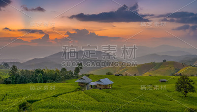 稻田的黄昏