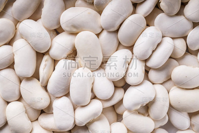 白色背景上的新鲜有机天然豆子