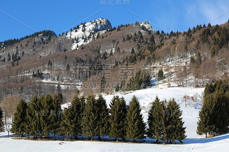 冬天有白雪的山脉和位于意大利北部的斯皮茨峰