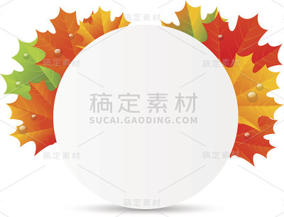有秋叶的纸