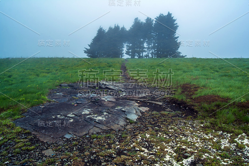 阿巴拉契亚山道上的雾