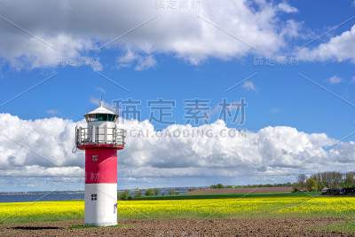灯塔和一片油菜地在瑞典南部，Ven岛